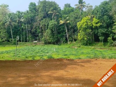 18 Cents of Land for Sale at Pattimattam, Ernakulam 