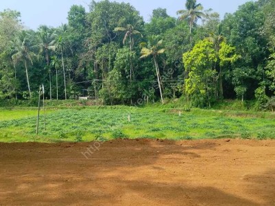 18 Cents of Land for Sale at Pattimattam, Ernakulam 