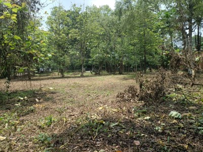 60 Cents of Commercial Land for Sale at Kanjirappally, Kottayam