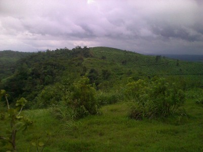 4 Acres of Beautiful Land for Sale at Korome, Wayanad
