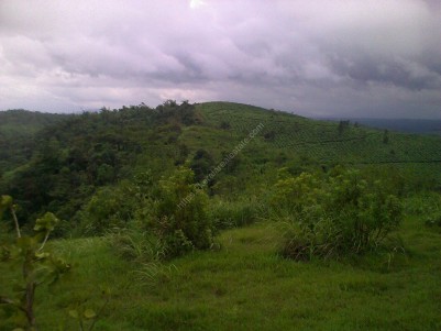 4 Acres of Beautiful Land for Sale at Korome, Wayanad