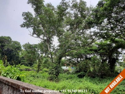 33.5 Cents of Land for Sale at Koonammavu, Ernakulam
