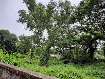 33.5 Cents of Land for Sale at Koonammavu, Ernakulam