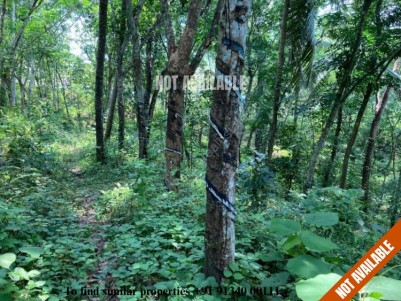 6 Acres of Plantation for Sale at Karukachal, Kottayam