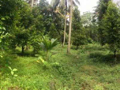 3.75 Acres of Land for Sale at Karukutty, Ernakulam
