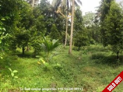 3.75 Acres of Land for Sale at Karukutty, Ernakulam