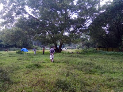1.02 Acres of Land for Sale at Paathiraamanal, Alappuzha