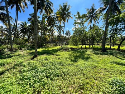 Agricultural Land for Sale at Chirayinkeezhu, Thiruvananthapuram 