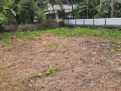 Commercial Plot for Sale at the Heart of Perinthalmanna, Malappuram 