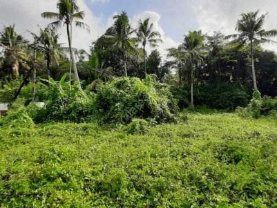 35 Cents of Rectangular Plot for Sale at Irinjalakuda, Thrissur