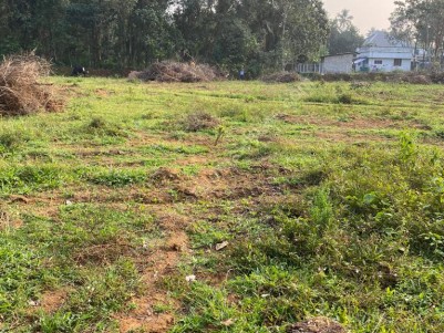 Plot for Sale Near Koovapady, Perumbavoor, Ernakulam