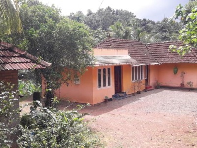 3.78 Acres of Land for Sale at Adoor, Pathanamthitta