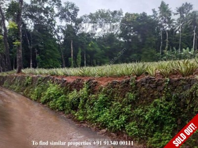 Residential Land For Sale At Thodupuzha, Idukki