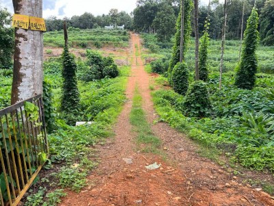 44 Cents of Commercial cum Residential Land for Sale at Pala, Kottayam