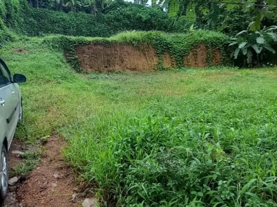 36 Cents of Commercial / Residential Land for Sale at the Heart of Thodupuzha City, Idukki