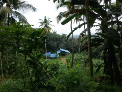 4 Acres of Farm Land for Sale at Arayil near Kottarakkara, Kollam 