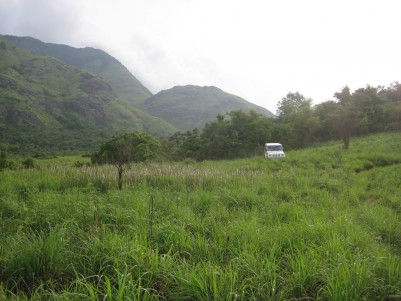 17 Acres of Beautiful Land for Sale at Mananthavady, Wayanad