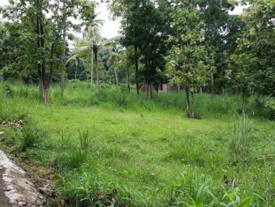 12.5 Cents of Land for Sale in Valiyakulangara, Oochira, Kollam 