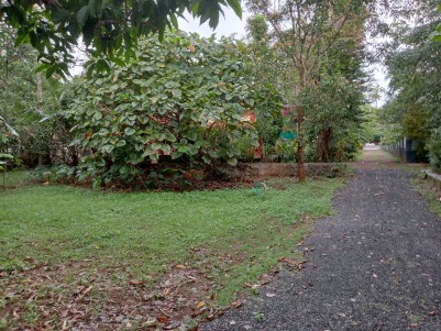 Commercial cum Residential Plots For Sale at Irinjalakuda,Thrissur