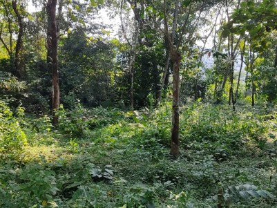 Attractive Land for Sale in the Scenic Beauty of  Nagapara, Pathanamthitta