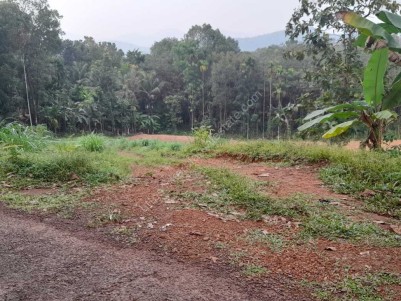 Residential Land for Sale at Alakode, Kannur 