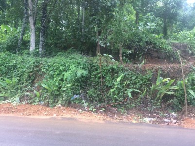 63 Cents of Residential Land for Sale at Ayroor, Pathanamthitta