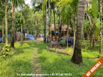 Waterfront Land for Sale at Koonammavu, Ernakulam