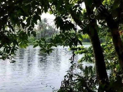 Waterfront Land for Sale at Koonammavu, Ernakulam