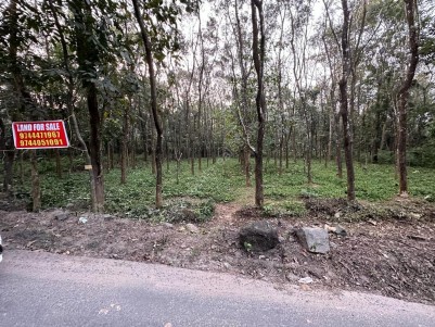 42 Cents of Residential Land for Sale at Perumbavoor, Ernakulam 