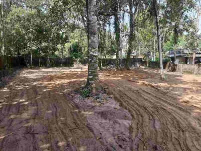 20 Cents of Rectangular Plot for Sale at Mavelikkara, Alappuzha