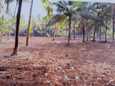 48 Cents of Residential Land (Purayidom) for Sale at Kurichy Outpost Junction, Kottayam