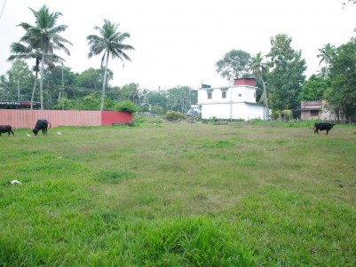 Commercial Land for Sale near Karuvatta, Alappuzha