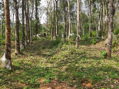 1 Acre of Residential Land for Sale as plots at Edakulam, Ranni, Pathanamthitta