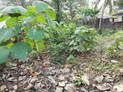 14.75 Cents of Residential Plot for Sale at Kalamassery, Ernakulam