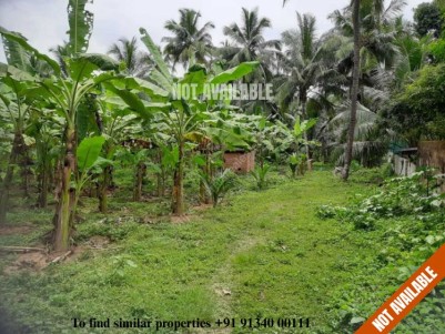 32 Cents of Plot for Sale at Pathamkallu, Pattikad, Thrissur