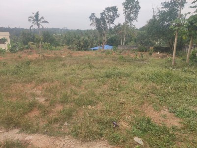 3.5 Cents of Residential Land for Sale at Powdikonam, Trivandrum