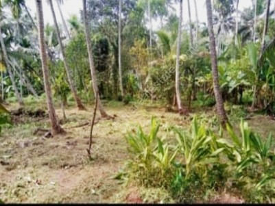 15 CENTS OF LAND FOR SALE AT KAVINMOOLA, NEAR CHAKKARAKKAL, KANNUR