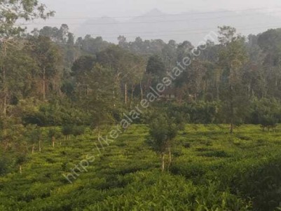 21 Cents of Plot for Sale at Wayanad