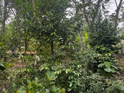 Land for Sale at Kallara, Kottayam