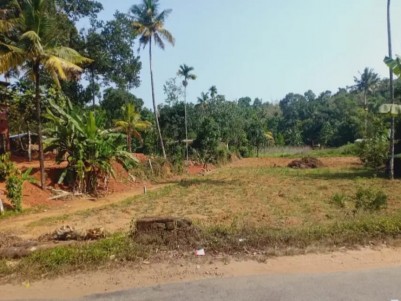 49 Cents of Residential Land for Sale at Kanjikuzhy, Idukki 