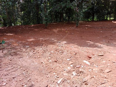 COMMERCIAL LAND for Sale at KONNI Town, Pathanamthitta, Punalur -Muvattupuzha Highway side