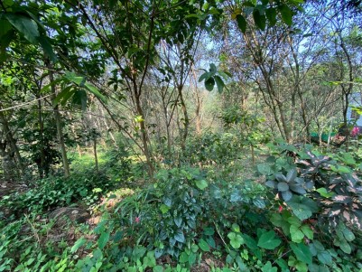 67 Cents of Residential Land for Sale at Kanakkary, Ettumanoor, Kottayam -1 km from Panama Kavala;  