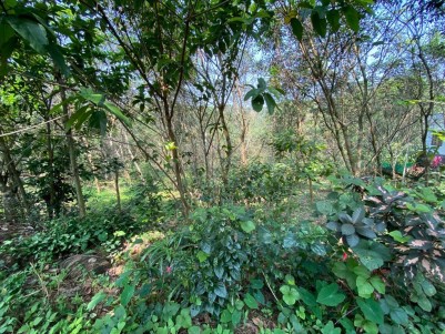 67 Cents of Residential Land for Sale at Kanakkary, Ettumanoor, Kottayam -1 km from Panama Kavala;  