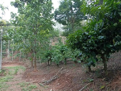 Prime Residential Land for Sale at Mananthavady, Wayanad 