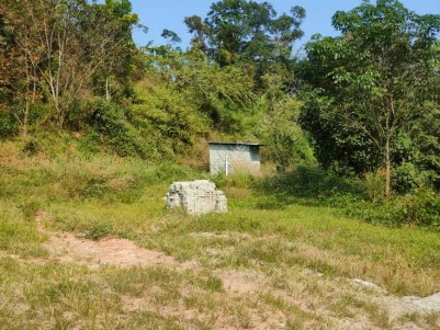  Land for Sale at Pattimattom, Ernakulam