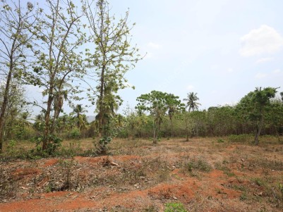 7 Acres of Residential Land for Sale at Ottapalam, Maniserry, Palakkad