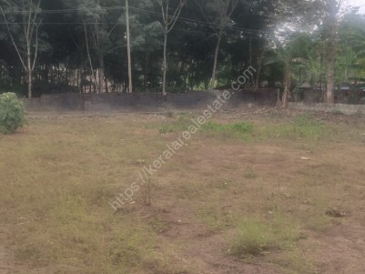 21 Cents of Prime Land for Sale at Nadakepadam, Changanasserry, Kottayam 