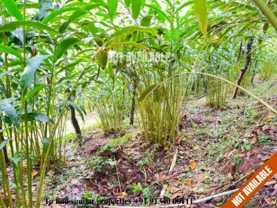 Agricultural Land for Sale at Kalthotty, Idukki