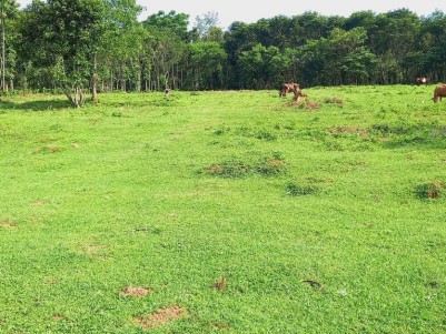 Commercial Cum Residential Land for Sale at Panamaram, Wayanad