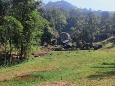 One Acre of Residential Land in Full or Part for Sale near Meenangadi, Wayanad